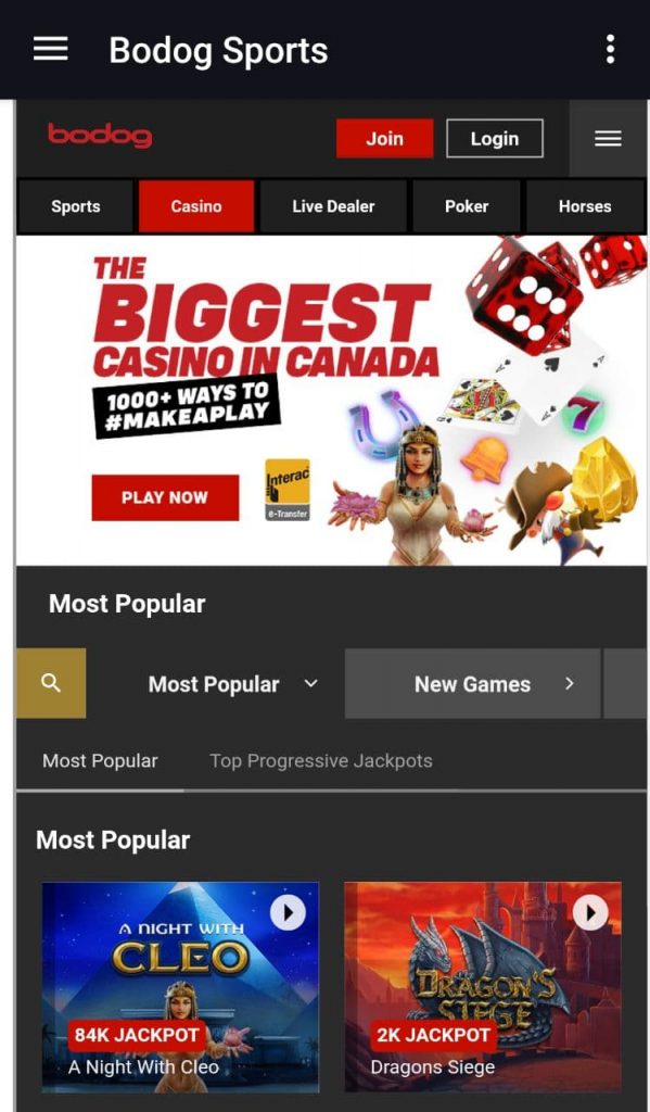 Bodog mobile casino