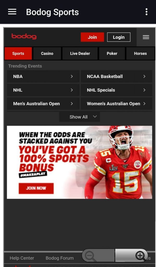 Bodog line and odds